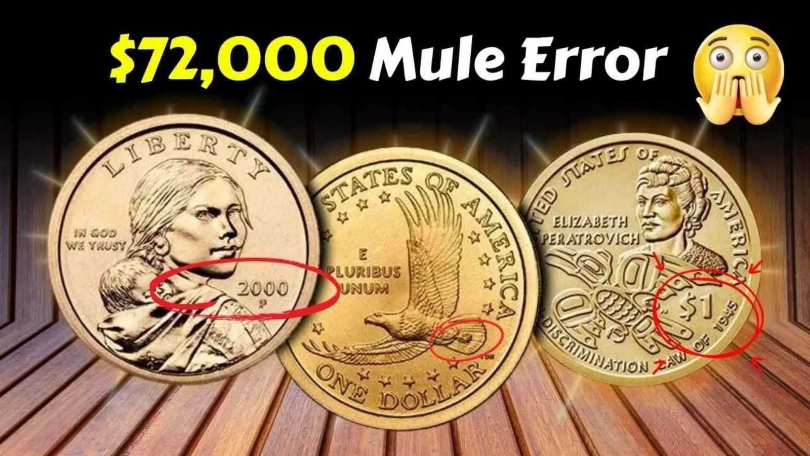 How to Identify the $72,000 Mule Error on Your 2000-P Sacagawea Dollar